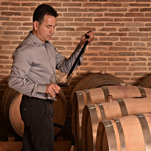 hos Giannikos Winery er der gode visioner og stærk filosofi omkring dyrkning af naturvine og økologiske vine